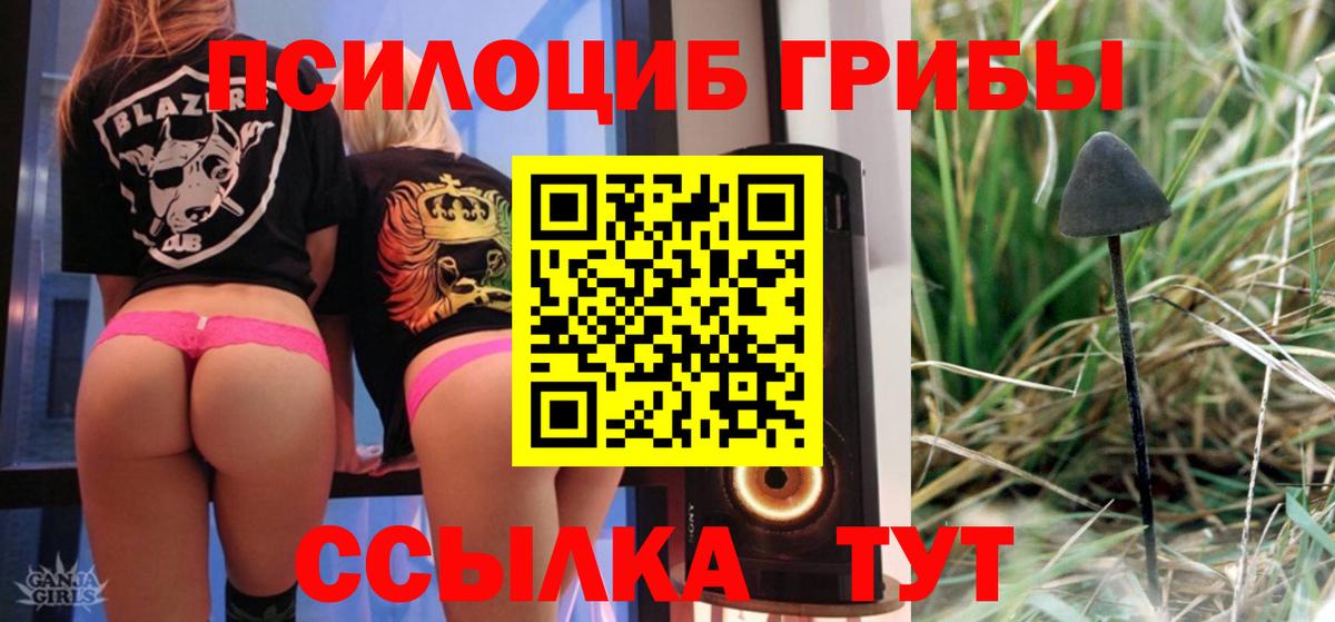 Галлюциногенные грибы GOLDEN TEACHER Сунжа