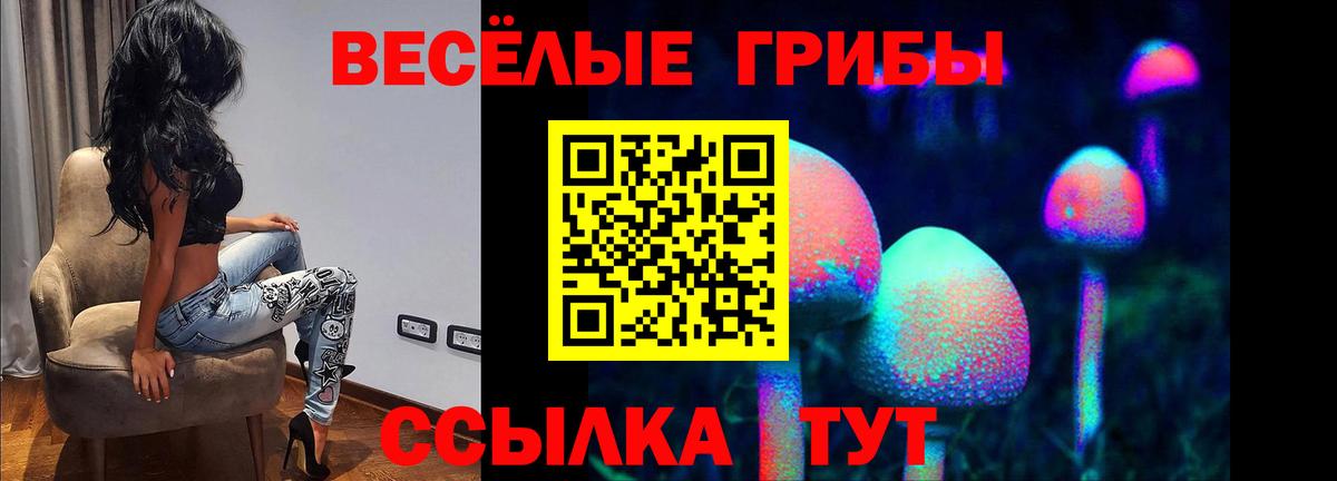 Галлюциногенные грибы Cubensis  даркнет сайт  Вход с VPN  Сунжа  Галлюциногенные грибы ЛСД 